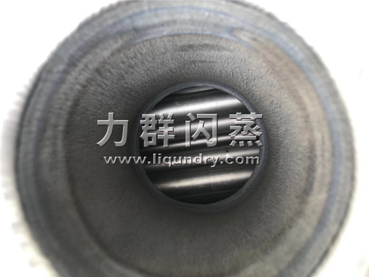鈦材耙式幹燥機